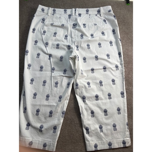 Talbots Pants - Talbots Perfect Skimmer Pants 14P White Navy Blue Pineapple Embroidered Petite